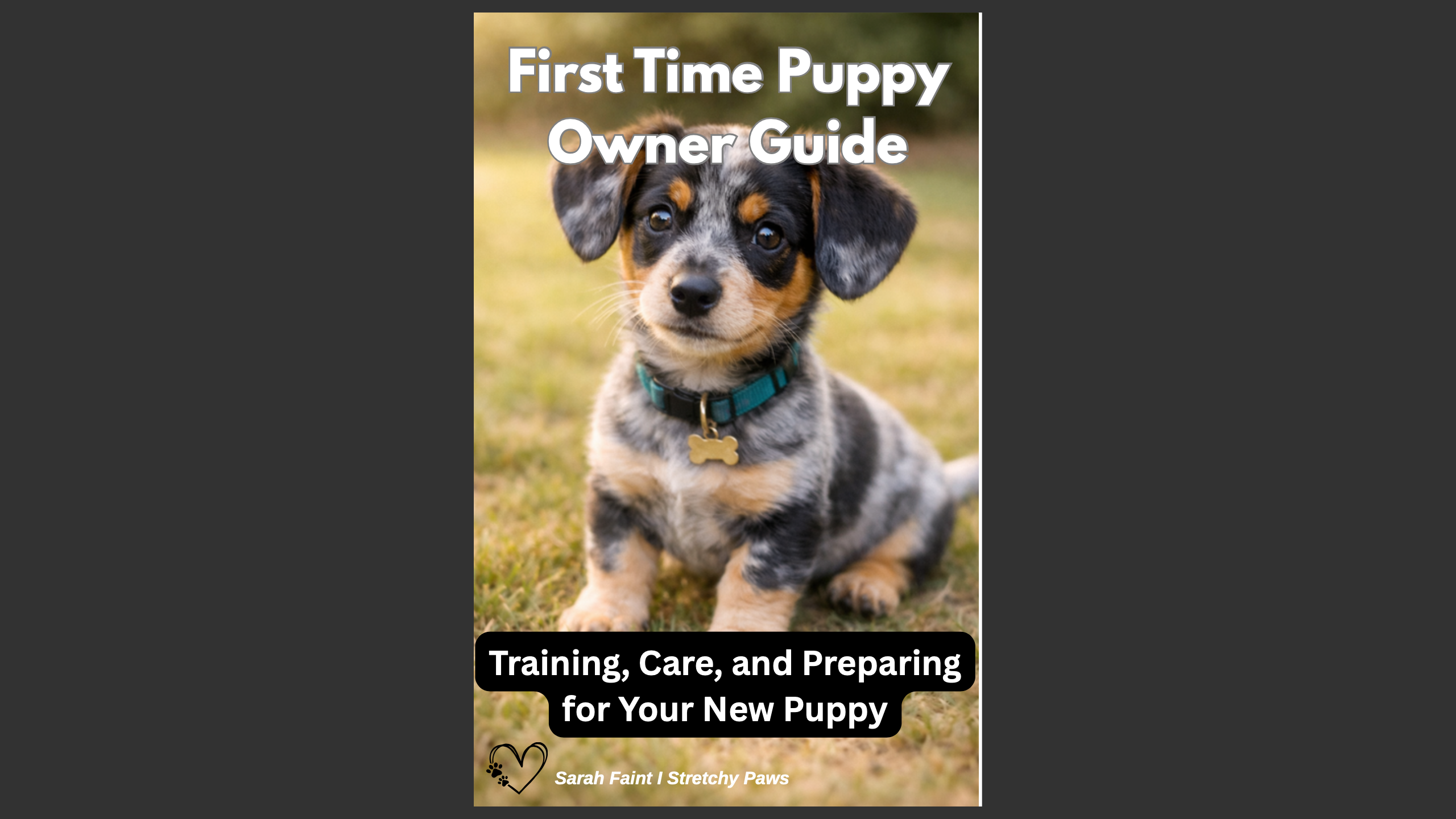 The First-Time Puppy Owner Guide