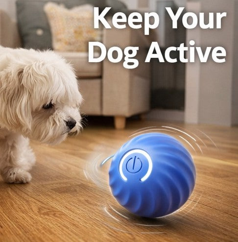 Self-Moving Gravity Ball Dog Toy