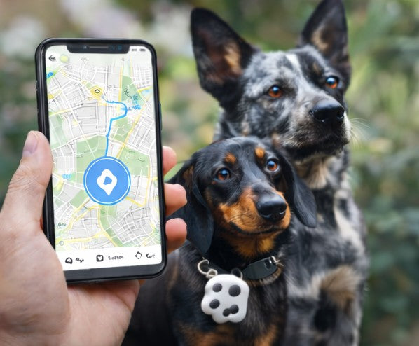 Paw-Shaped Bluetooth Pet Tracking Tag