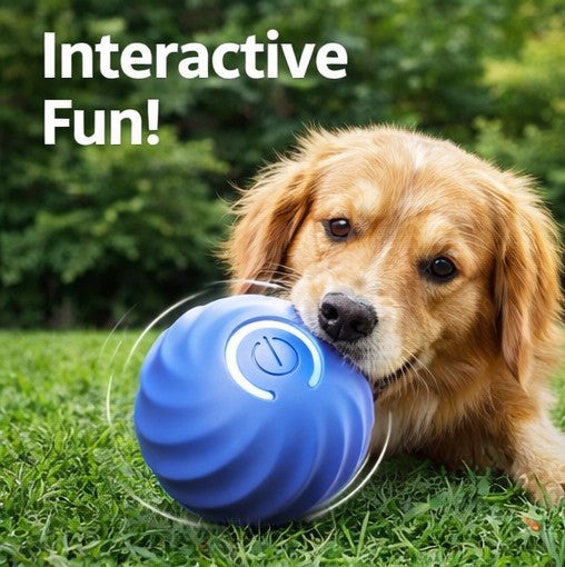 Self-Moving Gravity Ball Dog Toy
